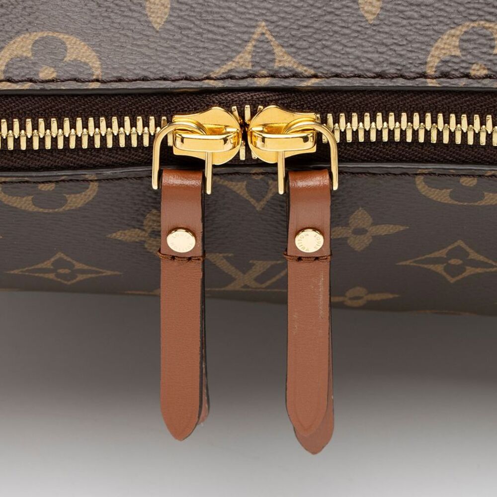 Louis Vuitton Monogram Canvas Loop Hobo - Picture 8 of 8